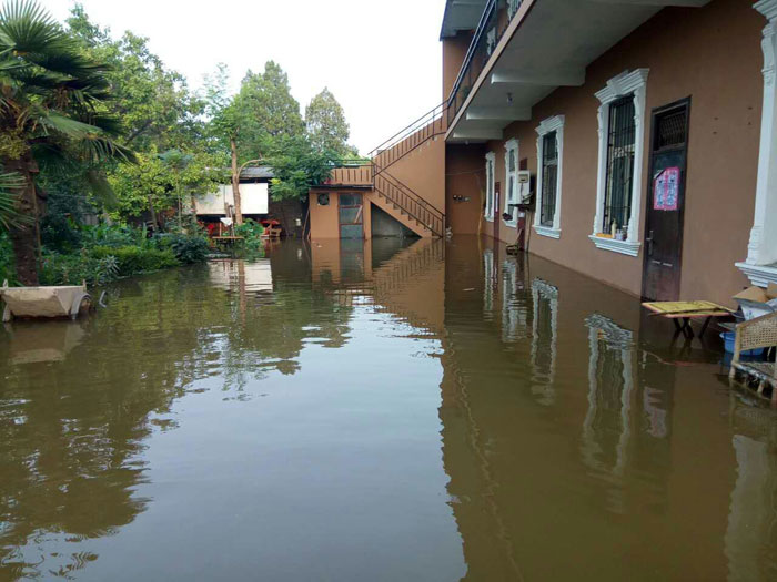 ���l(xi��ng)�¿�