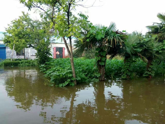 ���l(xi��ng)й��